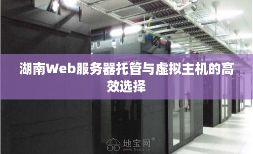 湖南Web服务器托管与虚拟主机的高效选择