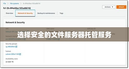 选择安全的文件服务器托管服务