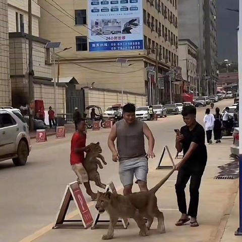 电信托管服务器遭遇勒索病毒，一场网络安全的危机与挑战