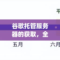 谷歌托管服务器的获取，全面指南