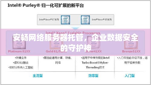 安畅网络服务器托管，企业数据安全的守护神