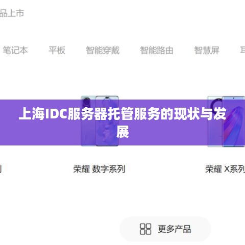 上海IDC服务器托管服务的现状与发展