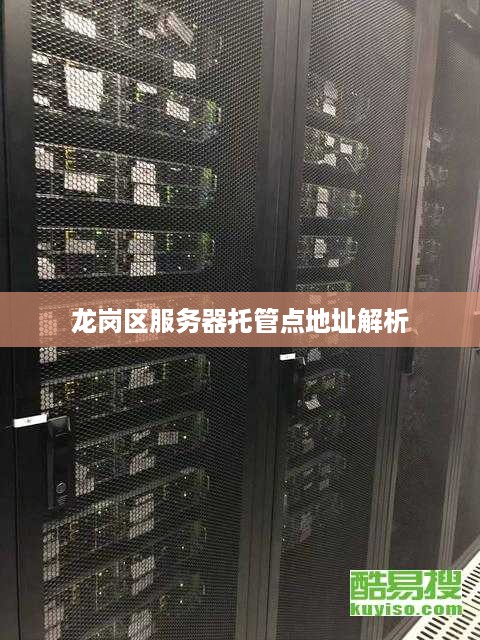 龙岗区服务器托管点地址解析