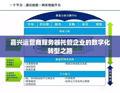 嘉兴运营商服务器托管企业的数字化转型之路