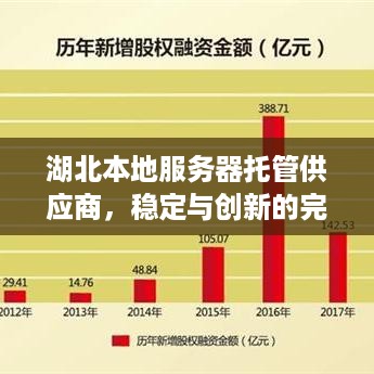 湖北本地服务器托管供应商，稳定与创新的完美融合