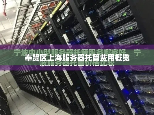 奉贤区上海服务器托管费用概览