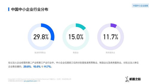 高端虚拟机FTP服务器托管，企业IT基础设施的未来