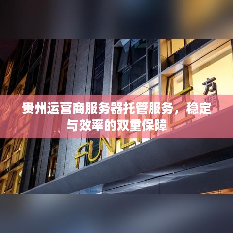 贵州运营商服务器托管服务，稳定与效率的双重保障