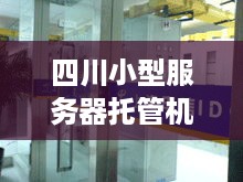 四川小型服务器托管机构，数字化时代的可靠伙伴