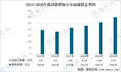 服务器托管工资分析，成本、影响因素与市场行情