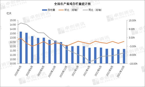 服务器托管工资分析，成本、影响因素与市场行情