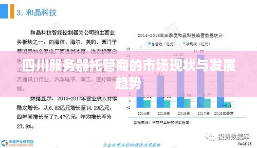 四川服务器托管商的市场现状与发展趋势