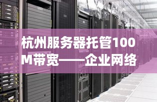 杭州服务器托管100M带宽——企业网络的坚实后盾