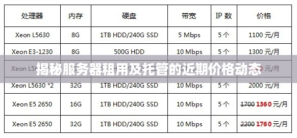 揭秘服务器租用及托管的近期价格动态