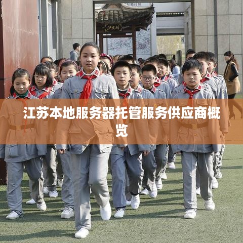 江苏本地服务器托管服务供应商概览