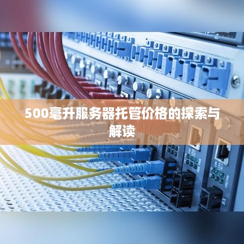 500毫升服务器托管价格的探索与解读