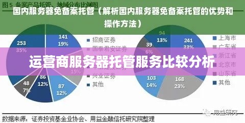 运营商服务器托管服务比较分析