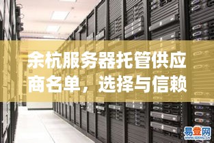 余杭服务器托管供应商名单，选择与信赖的桥梁