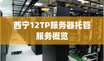 西宁12TP服务器托管服务概览