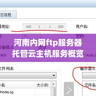 河南内网ftp服务器托管云主机服务概览
