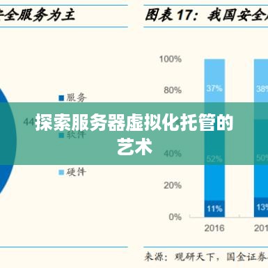 探索服务器虚拟化托管的艺术