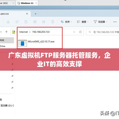 广东虚拟机FTP服务器托管服务，企业IT的高效支撑