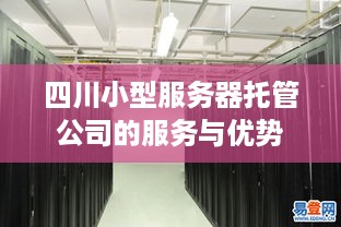 四川小型服务器托管公司的服务与优势