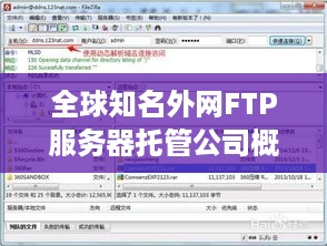 全球知名外网FTP服务器托管公司概览