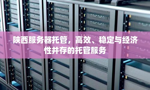 陕西服务器托管，高效、稳定与经济性并存的托管服务