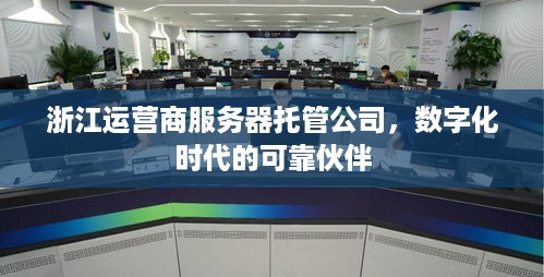 浙江运营商服务器托管公司，数字化时代的可靠伙伴