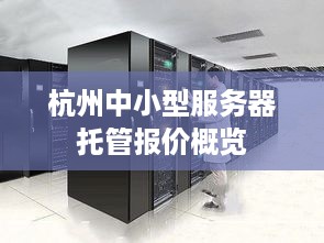 杭州中小型服务器托管报价概览