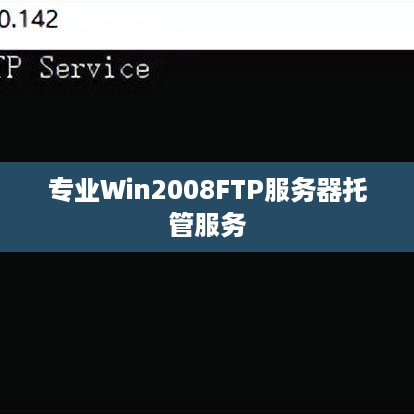 专业Win2008FTP服务器托管服务