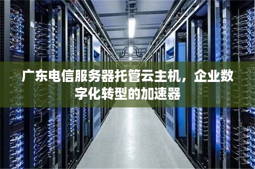 广东电信服务器托管云主机，企业数字化转型的加速器