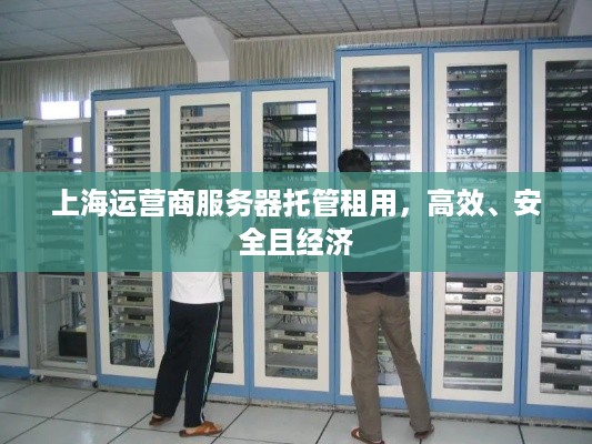 上海运营商服务器托管租用，高效、安全且经济