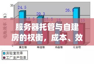 服务器托管与自建房的权衡，成本、效率与未来展望