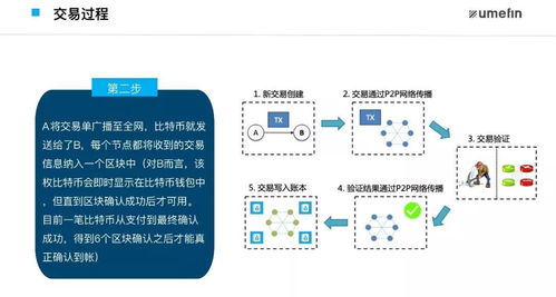 4M托管服务器的可行性分析与应用前景