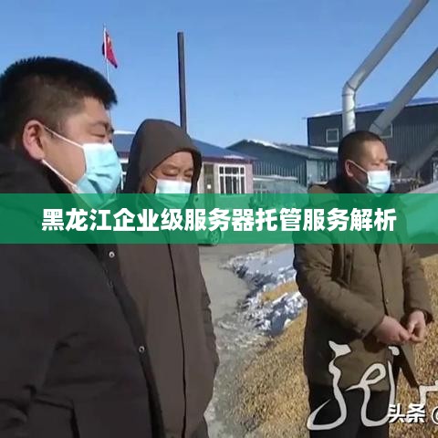 黑龙江企业级服务器托管服务解析