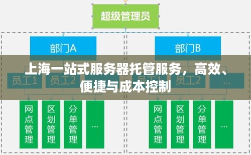 上海一站式服务器托管服务，高效、便捷与成本控制