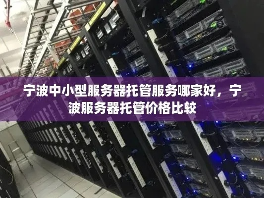 上海运营商服务器托管价钱全解析