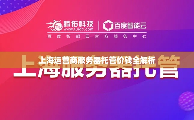 上海运营商服务器托管价钱全解析