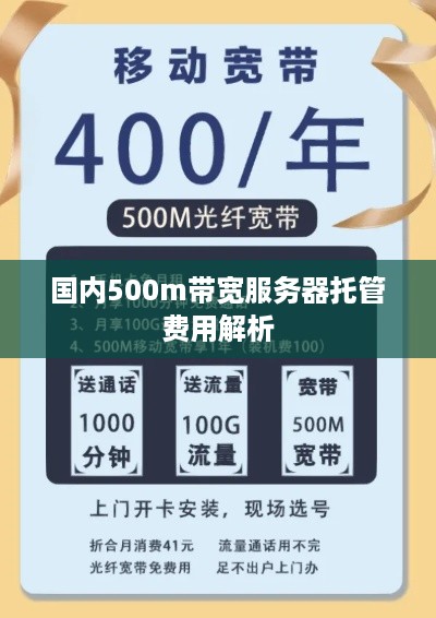 国内500m带宽服务器托管费用解析