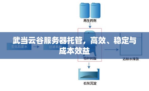 武当云谷服务器托管，高效、稳定与成本效益