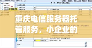 重庆电信服务器托管服务，小企业的数字伙伴