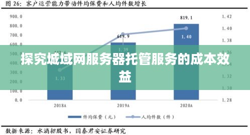 探究城域网服务器托管服务的成本效益