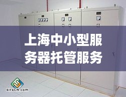 上海中小型服务器托管服务报价指南