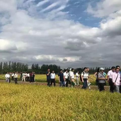 深圳网络服务器托管公司，数字化时代的坚实后盾