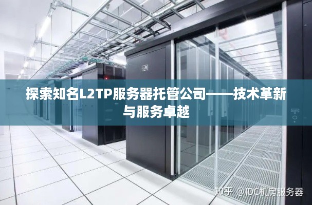 探索知名L2TP服务器托管公司——技术革新与服务卓越