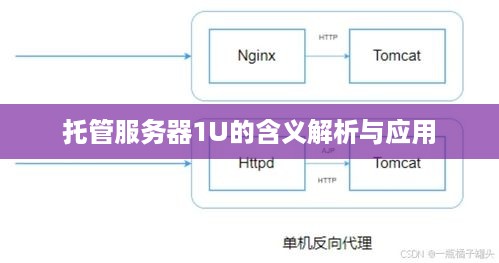 托管服务器1U的含义解析与应用