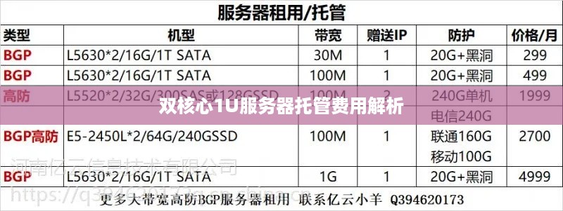 双核心1U服务器托管费用解析