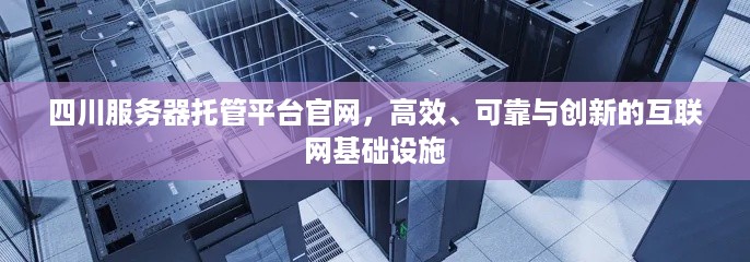 四川服务器托管平台官网，高效、可靠与创新的互联网基础设施